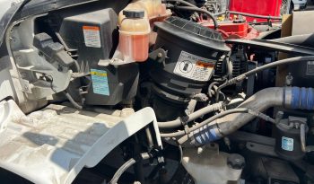 Rabón M2 con Thermo 2016 full